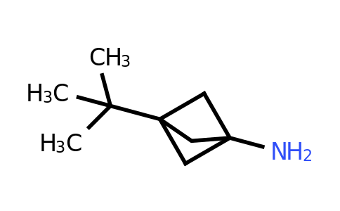 CAS 1886967-57-2 | 3-tert-butylbicyclo[1.1.1]pentan-1-amine