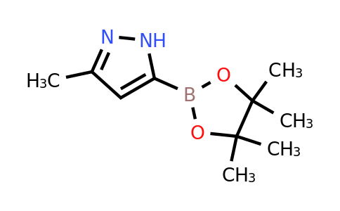 CAS 1888441-67-5 | 3-Methyl-1H-pyrazole-5-boronic acid pinacol ester