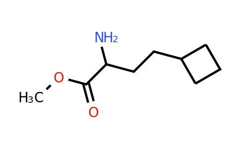 CAS 1888507-47-8 | methyl 2-amino-4-cyclobutyl-butanoate