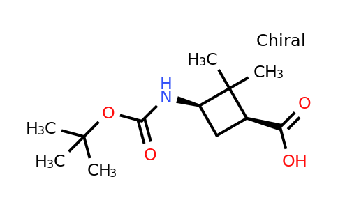 CAS 188918-50-5 | (1S,3R)-3-{[(tert-butoxy)carbonyl]amino}-2,2-dimethylcyclobutane-1-carboxylic acid