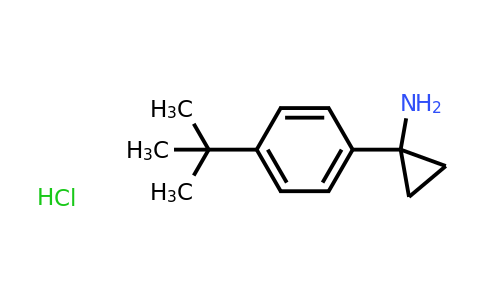 CAS 1895254-38-2 | 1-(4-tert-butylphenyl)cyclopropan-1-amine hydrochloride