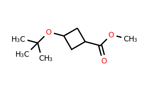 CAS 1899832-80-4 | methyl 3-(tert-butoxy)cyclobutane-1-carboxylate