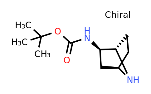 CAS 1909287-30-4 | tert-butyl N-[(1S,2R,4R)-7-azabicyclo[2.2.1]heptan-2-yl]carbamate