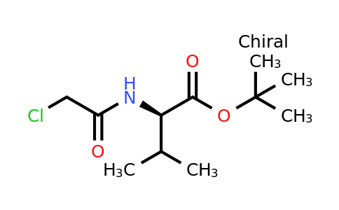 CAS 1909288-46-5 | tert-butyl (2R)-2-(2-chloroacetamido)-3-methylbutanoate