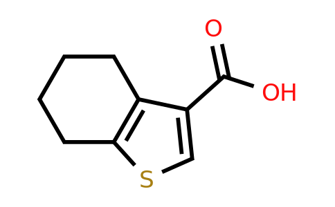 CAS 19156-54-8 | 4,5,6,7-tetrahydro-1-benzothiophene-3-carboxylic acid