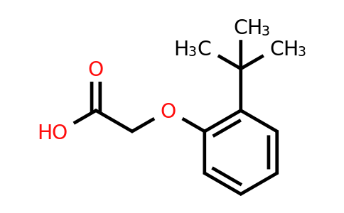 CAS 19271-90-0 | 2-(2-tert-butylphenoxy)acetic acid