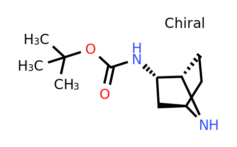 CAS 1932031-07-6 | tert-butyl N-[(1S,2S,4R)-7-azabicyclo[2.2.1]heptan-2-yl]carbamate