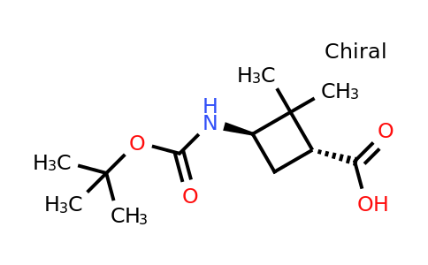 CAS 1932060-35-9 | (1R,3R)-3-(tert-butoxycarbonylamino)-2,2-dimethyl-cyclobutanecarboxylic acid