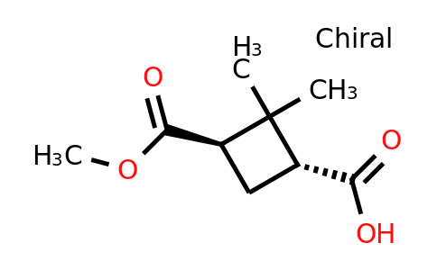 CAS 1932118-46-1 | (1R,3R)-3-(methoxycarbonyl)-2,2-dimethylcyclobutane-1-carboxylic acid
