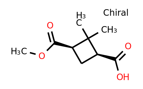 CAS 1932460-68-8 | (1S,3R)-3-(methoxycarbonyl)-2,2-dimethylcyclobutane-1-carboxylic acid