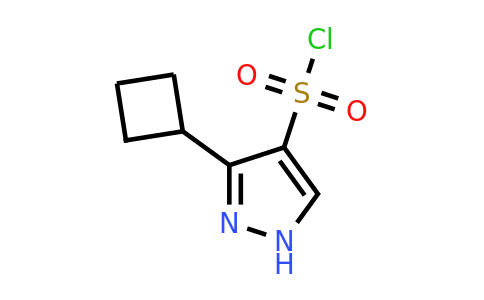 CAS 1933652-50-6 | 3-cyclobutyl-1H-pyrazole-4-sulfonyl chloride