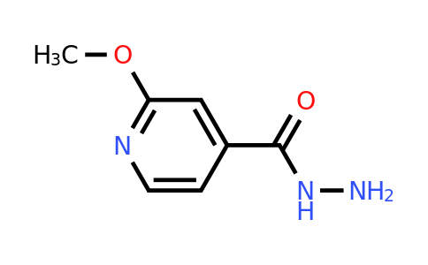 CAS 19353-97-0 | 2-Methoxyisonicotinohydrazide