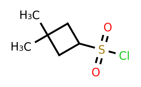 CAS 1936056-10-8 | 3,3-Dimethylcyclobutane-1-sulfonyl chloride