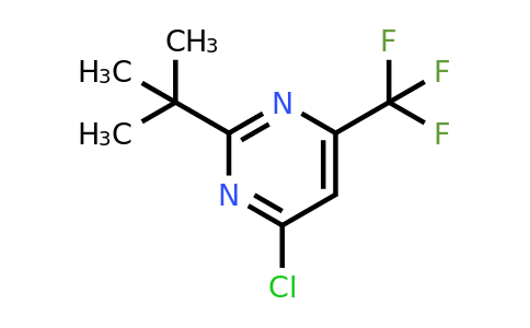 CAS 193611-28-8 | 2-(tert-Butyl)-4-chloro-6-(trifluoromethyl)pyrimidine