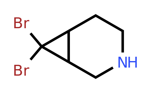CAS 1936223-35-6 | 7,7-dibromo-3-azabicyclo[4.1.0]heptane
