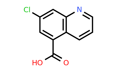 CAS 1936252-00-4 | 7-Chloroquinoline-5-carboxylic acid