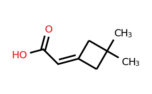 CAS 1936457-04-3 | 2-(3,3-dimethylcyclobutylidene)acetic acid
