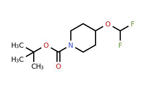 CAS 1936526-60-1 | tert-butyl 4-(difluoromethoxy)piperidine-1-carboxylate