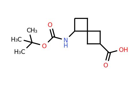 CAS 1936714-71-4 | 7-(tert-butoxycarbonylamino)spiro[3.3]heptane-2-carboxylic acid