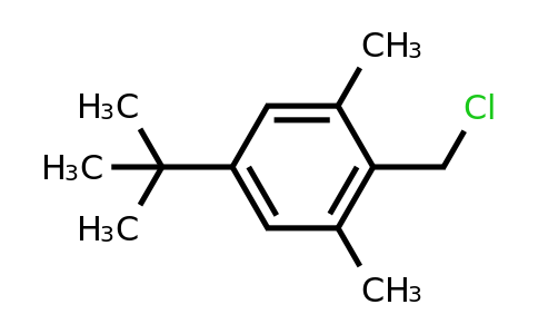 CAS 19387-83-8 | 5-tert-butyl-2-(chloromethyl)-1,3-dimethylbenzene