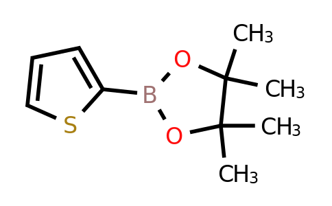 CAS 193978-23-3 | 2-Thiopheneboronic acid pinacol ester