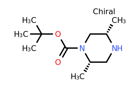 CAS 194032-43-4 | (2S,5S)-2,5-Dimethyl-piperazine-1-carboxylic acid tert-butyl ester