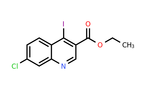 CAS 19499-20-8 | Ethyl 7-chloro-4-iodoquinoline-3-carboxylate