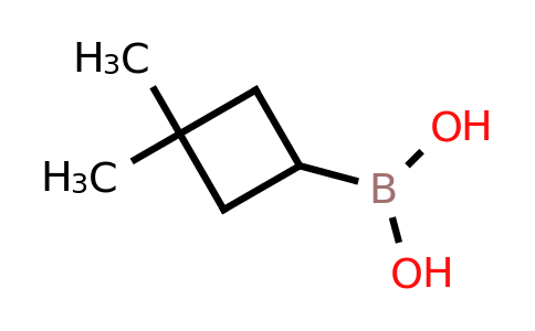 CAS 1950574-55-6 | (3,3-dimethylcyclobutyl)boronic acid