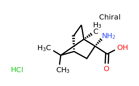 CAS 1955474-97-1 | (1R,2R,4R)-2-amino-1,7,7-trimethylbicyclo[2.2.1]heptane-2-carboxylic acid hydrochloride