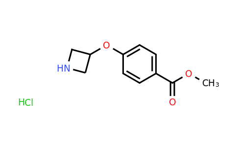 CAS 1956370-41-4 | Methyl 4-(azetidin-3-yloxy)benzoate hydrochloride