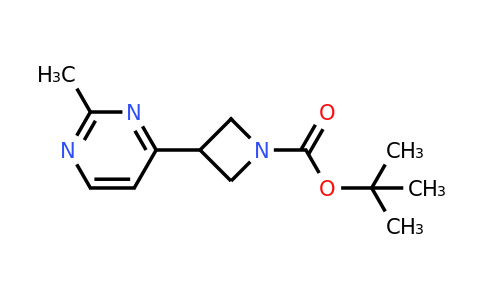 CAS 1956370-48-1 | tert-Butyl 3-(2-methylpyrimidin-4-yl)azetidine-1-carboxylate
