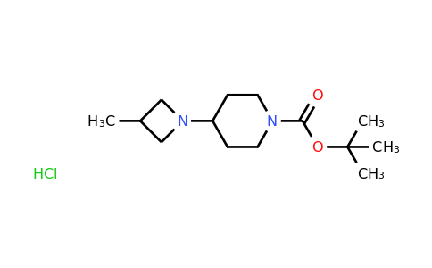 CAS 1956385-02-6 | tert-Butyl 4-(3-methylazetidin-1-yl)piperidine-1-carboxylate hydrochloride
