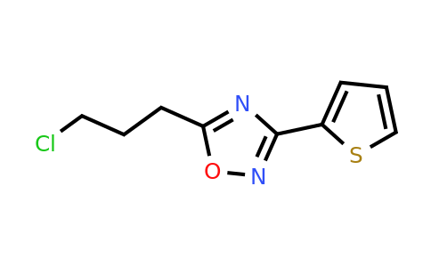 CAS 19580-45-1 | 5-(3-chloropropyl)-3-(thiophen-2-yl)-1,2,4-oxadiazole