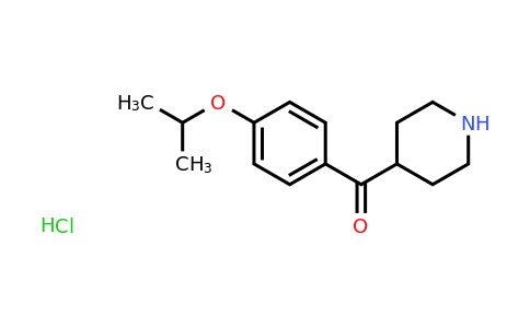 CAS 1965308-88-6 | (4-Isopropoxy-phenyl)-piperidin-4-yl-methanone hydrochloride