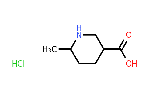 CAS 1965309-07-2 | 6-Methyl-piperidine-3-carboxylic acid hydrochloride