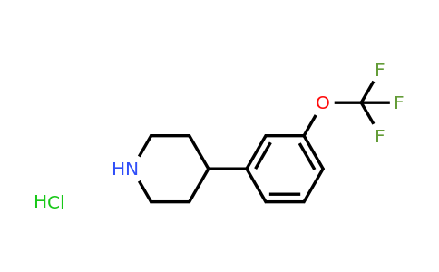 CAS 1965309-79-8 | 4-(3-Trifluoromethoxy-phenyl)-piperidine hydrochloride