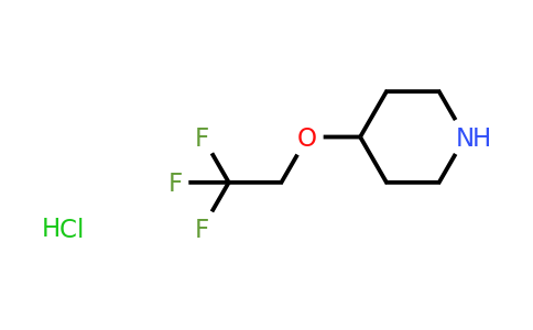 CAS 1971093-31-8 | 4-(2,2,2-trifluoroethoxy)piperidine;hydrochloride