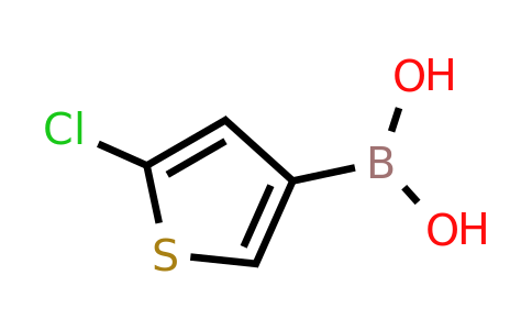CAS 199659-23-9 | 5-Chlorothiophene-3-boronic acid