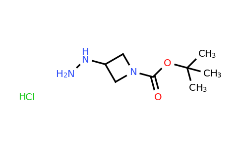 CAS 1998216-27-5 | tert-Butyl 3-hydrazinylazetidine-1-carboxylate hydrochloride
