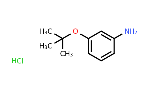 CAS 1998216-34-4 | 3-(tert-Butoxy)aniline hydrochloride