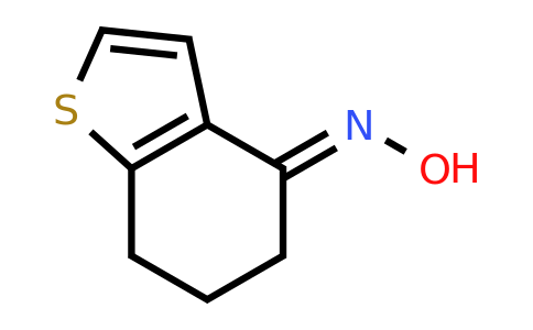 CAS 19995-19-8 | (E)-6,7-Dihydrobenzo[B]thiophen-4(5H)-one oxime