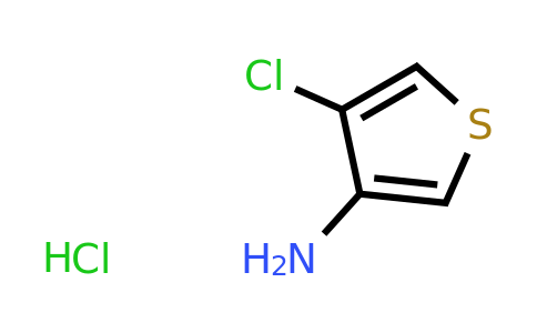 CAS 2002442-00-2 | 4-chlorothiophen-3-amine hydrochloride