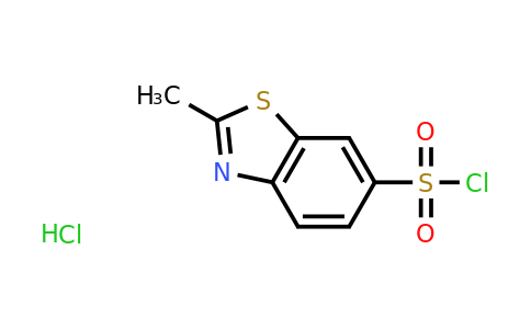 CAS 2006277-66-1 | 2-Methylbenzothiazole-6-sulfonyl Chloride Hydrochloride