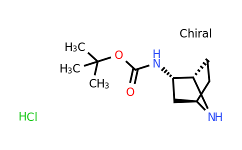 CAS 2008714-28-9 | tert-butyl N-[(1S,2S,4R)-7-azabicyclo[2.2.1]heptan-2-yl]carbamate hydrochloride