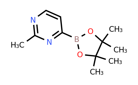 CAS 2018362-16-6 | 2-Methyl-4-(4,4,5,5-tetramethyl-1,3,2-dioxaborolan-2-YL)pyrimidine