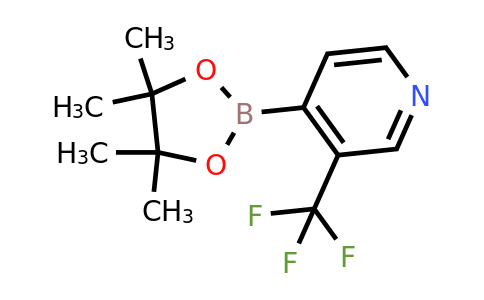 CAS 2020070-33-9 | 3-(Trifluoromethyl)pyridin-4-ylboronic acid pinacol ester