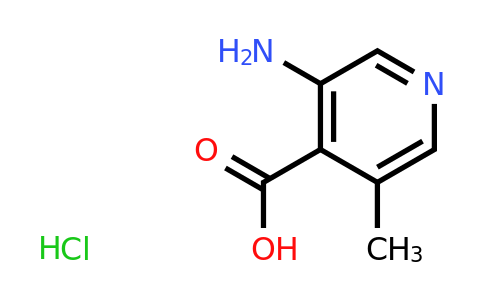 CAS 2024621-48-3 | 3-amino-5-methylpyridine-4-carboxylic acid hydrochloride