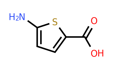 CAS 204068-72-4 | 5-Aminothiophene-2-carboxylic acid