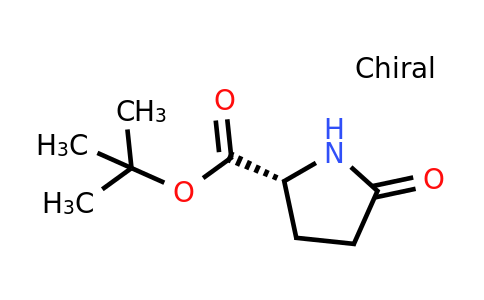 CAS 205524-46-5 | D-pyroglutamic acid tert-butyl ester
