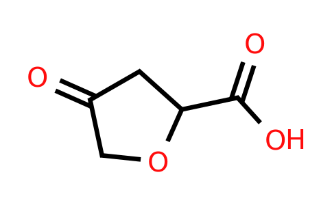 CAS 2056072-58-1 | 4-oxooxolane-2-carboxylic acid
